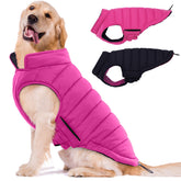 LeLePet reversible dog coat front view with warm two-tone styling for winter walks.