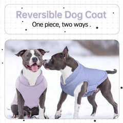 LeLePet reversible dog coat back view highlighting dual-color styling