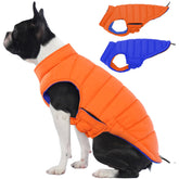 LelePet reversible dog coat front view in orange offers lightweight warmth for small dogs.