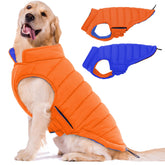 Lelepet reversible dog coat orange front view showing dual styling for walks