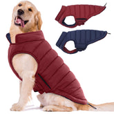 LeLePet reversible dog coat in wine red, front view, highlighting warm windproof protection.