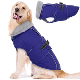 LeLePet Warm Dog Coat blue front view shows weather-ready exterior for outdoors