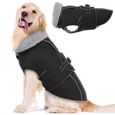 LeLePet warm dog coat front view in black XXXL keeps large dogs warm on chilly walks