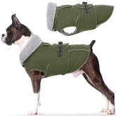 LeLePet warm dog coat outer view shows windproof, waterproof shell for chilly strolls.
