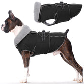 LeLePet warm dog coat small black front view shows waterproof protection for cold walks.