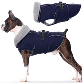 LeLePet Warm Dog Coat with waterproof fleece vest provides cold-weather protection.