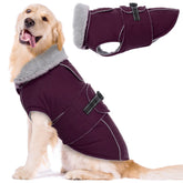 LeLePet warm dog coat in windproof fabric keeps large dogs comfortable outdoors.