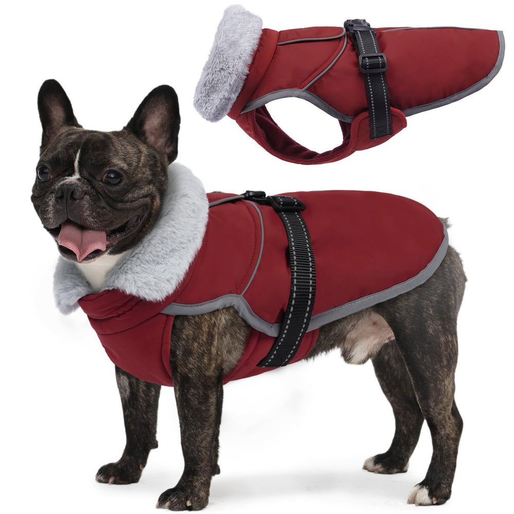 LeLePet Warm Dog Winter Coat back view with reflective piping for safer night walks