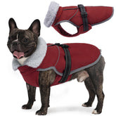 LeLePet Warm Dog Winter Coat back view with reflective piping for safer night walks