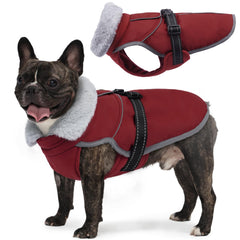 LeLePet Warm Dog Winter Coat back view with reflective piping for safer night walks