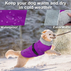LeLePet winter coat fleece interior close-up showing plush lining and fur collar