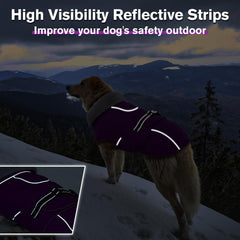 LeLePet reflective strips on coat for safe night walks