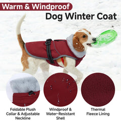 LeLePet Warm Dog Winter Coat side-buckle adjustment demonstrates easy fit customization