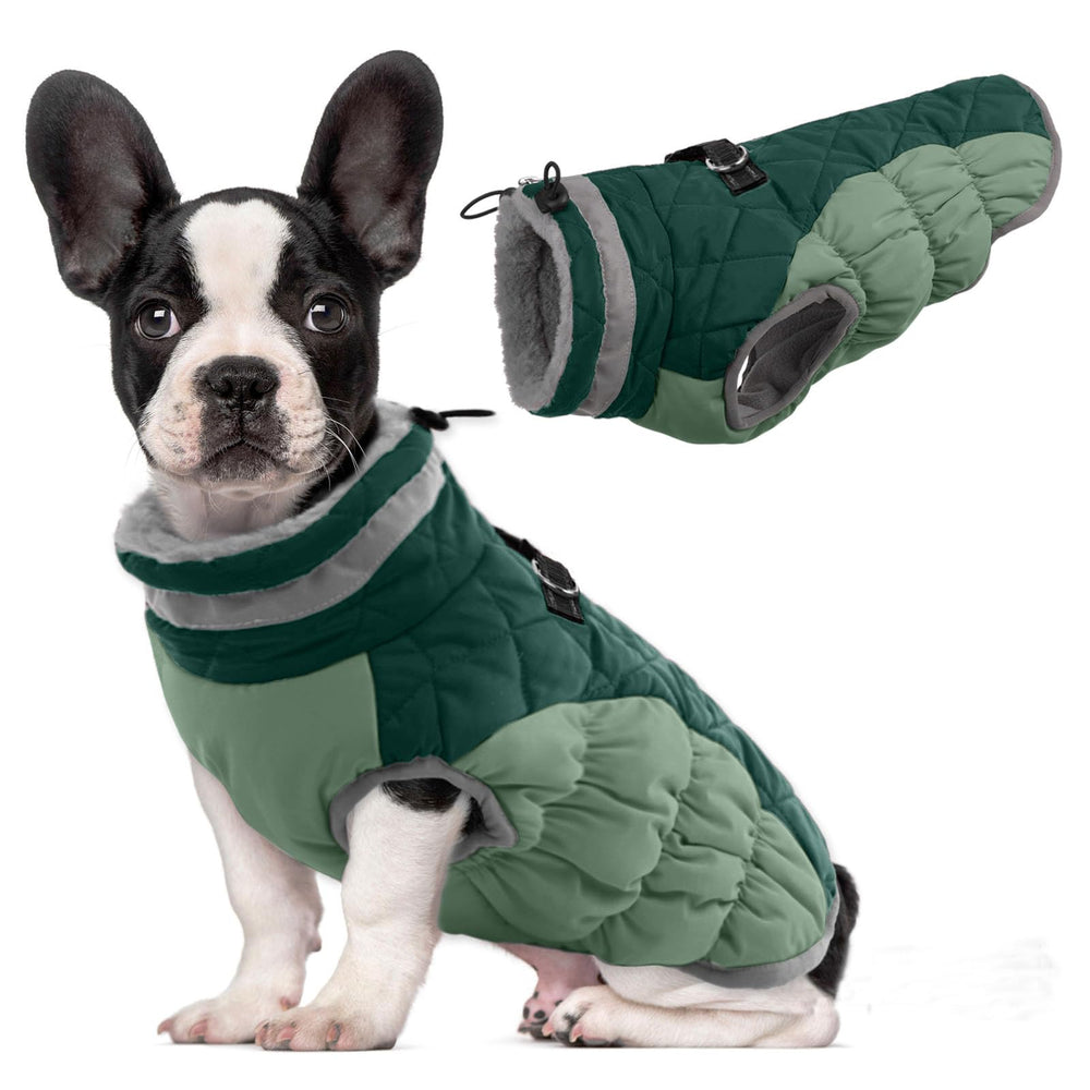 Lelepet warm dog winter coat in teal green keeps small dogs cozy outdoors
