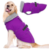 LeLePet warm coat front view for XXL dogs, waterproof and warm
