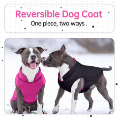 LeLePet waterproof dog jacket side view, windproof protection for outdoor adventures.