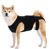 LeleTail back brace overview showing adjustable spine support for comfortable movement
