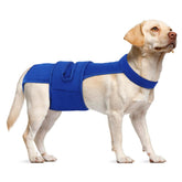 LeleTail dog diapers with washable material for easy daily reuse