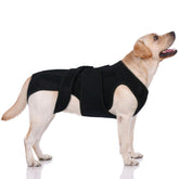LeleTail spinal wrap assembly demonstrates adjustable fit for giant dogs