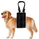 Lenpestia dog lift harness with soft inner fleece provides gentle hindquarter support for seniors.