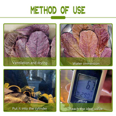LeonBach 5-8 inch catappa leaves in natural state for habitat enrichment