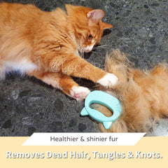 Leos Paw shell comb mint dog use shows effective loose fur removal for dogs.