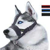 Lepark head strap muzzle with secure fit prevents escape during walks.
