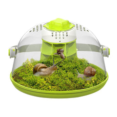 LepiBat Gems snail terrarium round habitat viewed from above, sturdy acrylic for durable observation.