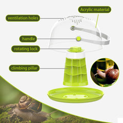 LepiBat Gems terrarium with ventilation holes enhances airflow in compact enclosure.