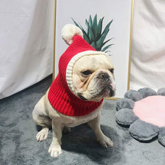 Less bad Lifeunion dog hat neck wrap detail highlights secure coverage