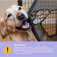 Lesure Collapsible Dog Crate mesh windows provide ventilation and visibility.