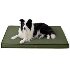 LE SURE dog crate bed 35x22 green foam closeup highlights supportive egg crate foam comfort.