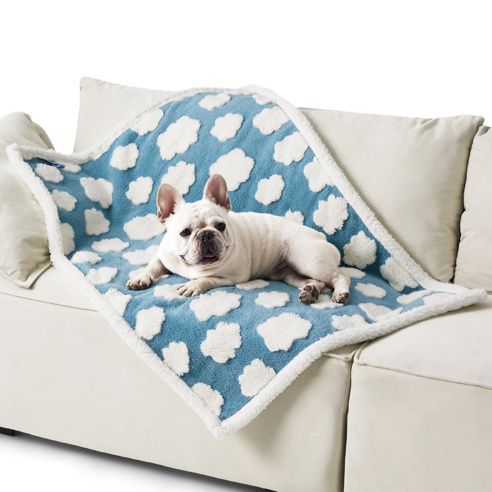 LE SURE waterproof dog blanket with blue cloud texture offers cozy warmth.