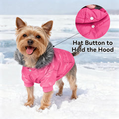 LESYPET doggie puffer with leash hole enables secure outdoor adventures.
