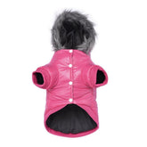 LESYPET pink windproof dog coat keeps small dogs warm on chilly walks.