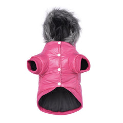 LESYPET pink windproof dog coat keeps small dogs warm on chilly walks.
