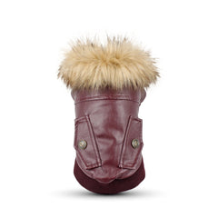 LESYPET waterproof dog jacket red front view offers winter warmth on walks.