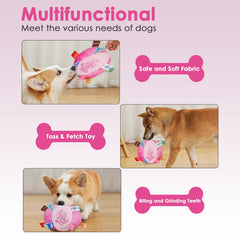 Letalong toy with 15 colorful tags highlights interactive play.