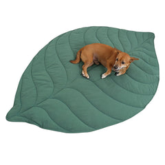 Letalong leaf-shaped dog blanket on couch provides cozy furniture protection.