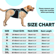 LETSQK dog back brace shows Velcro adjustment for secure, easy fitting.