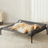 LEXTRO assembly instruction shows quick setup for busy pet owners