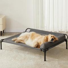 LEXTRO assembly instruction shows quick setup for busy pet owners