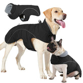 LIANZIMAU dog coat with D-ring leash attachment for easy outdoor walks