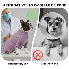 LIANZIMAU Elizabethan collar alternative supports eating and sight lines during recovery.