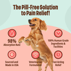Licks Pill Free dog supplement shows higher absorption than pills for efficient delivery.
