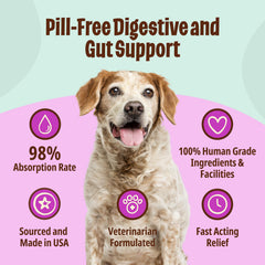 Licks Pill Free ElderDog immune-support blend in convenient gel packets for daily wellness.