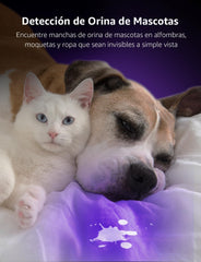 Lighting EVER LE Small UV 395nm, detecta manchas en alfombras y ropa con facilidad.