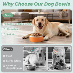LIHONG dog bowl with non-slip bottom keeps meals steady