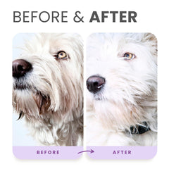 Lillian Ruff PRO formula all-coat-colors representation shows vibrant results on every fur color