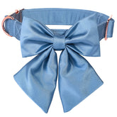 Lionet Paws Bowtie Dog Collar main view shows silky comfort and stylish design